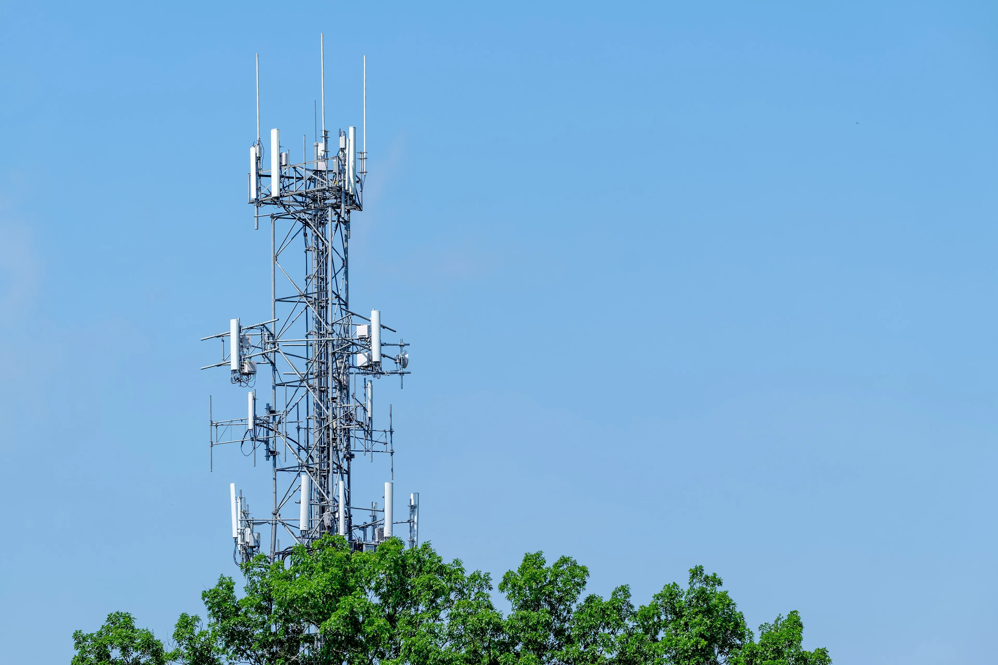 Lattice cell tower with white panel antennas above a line of trees against a clear blue sky